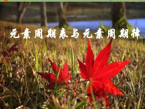 元素周期表
