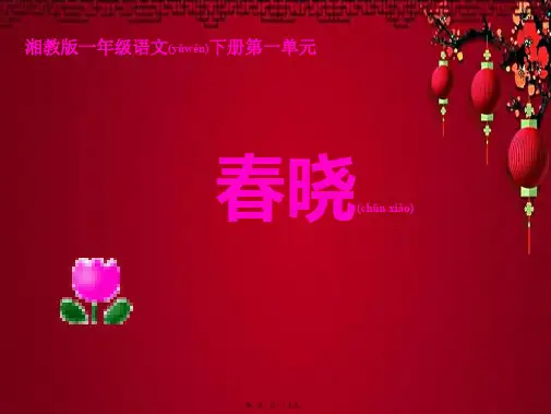 一年级语文下册 春晓1课件
