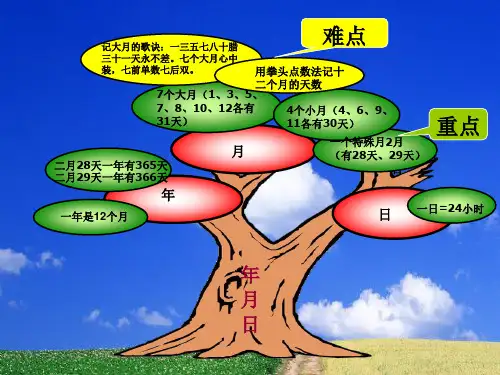 三年级数学年月日知识树