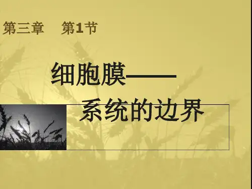 高中生物必修一第三章第一节