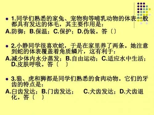 《空中飞行的动物》教学课件10 人教版