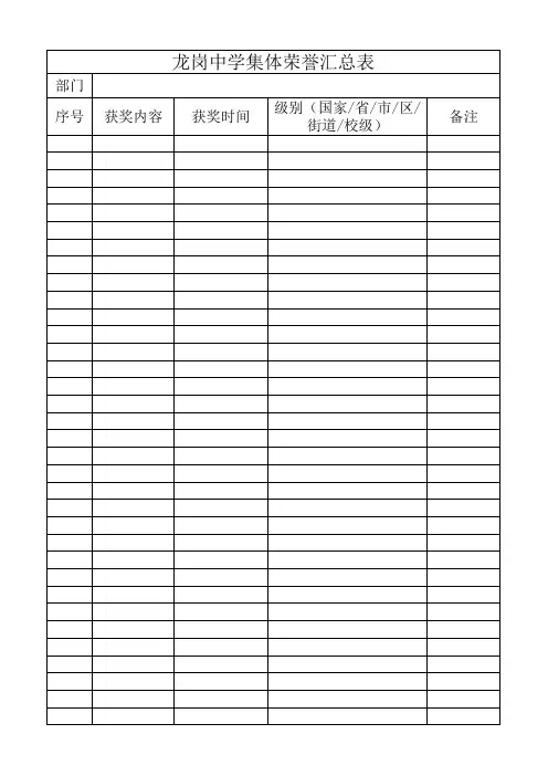 荣誉汇总表