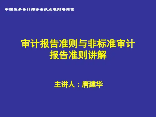 审计报告准则PPT