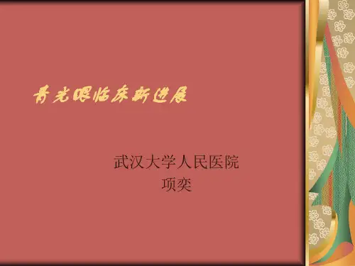 青光眼临床新进展