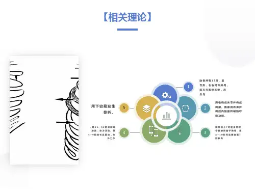 肋骨骨折病人的护理