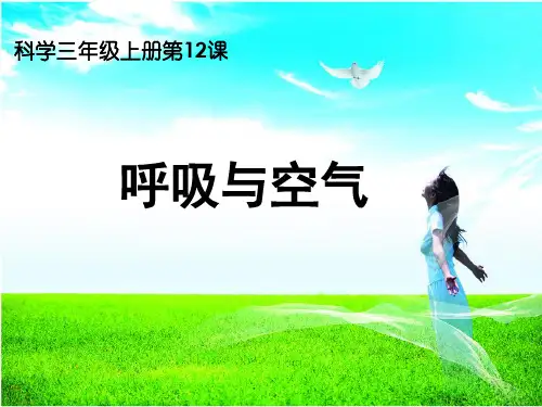 人教鄂教版三年级上册科学呼吸与空气