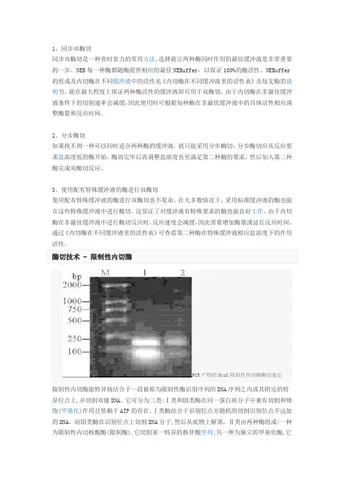 酶切技术1