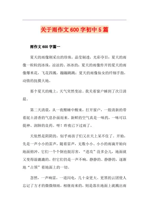 关于雨作文600字初中5篇