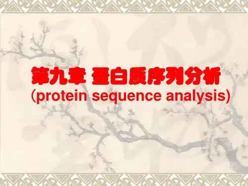 09 蛋白质序列分析