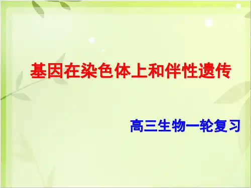 一轮复习——基因在染色体上和伴性遗传