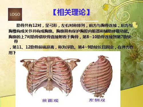 肋骨骨折病人的护理