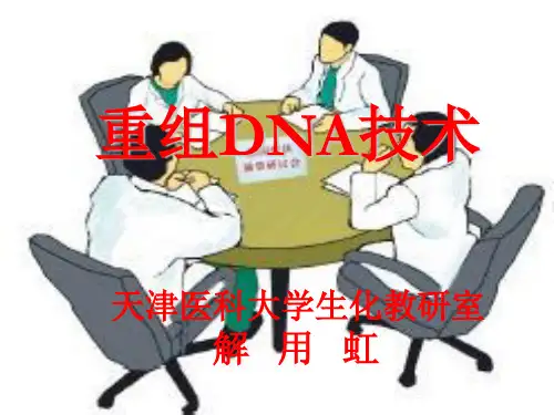 第14章 基因重组和基因工程共111页