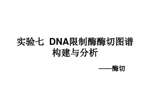 大学课程遗传学实验实验七 DNA限制酶酶切图谱构建与分析 JC课件