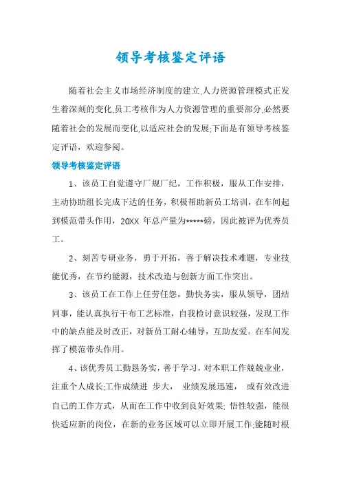 领导考核鉴定评语