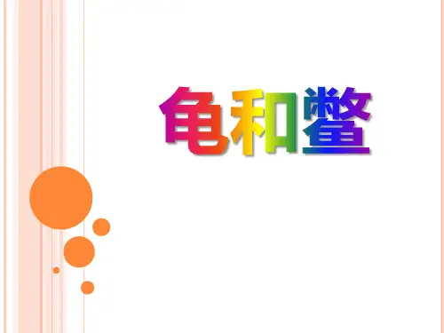 龟和鳖_池塘群落PPT课件3