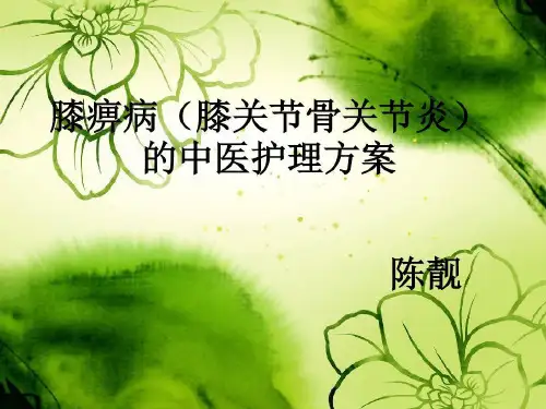 膝痹病中医护理方案共23页文档