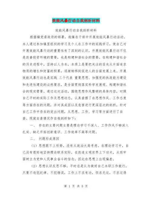 效能风暴行动自我剖析材料