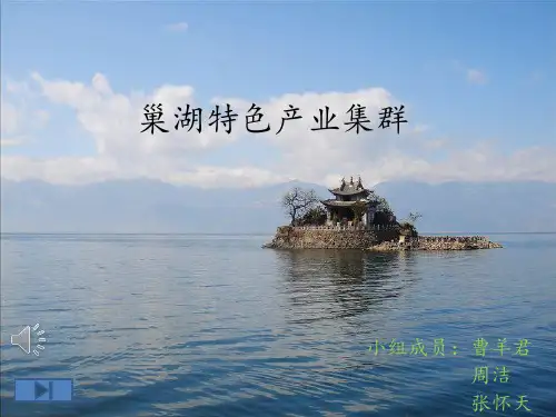 巢湖特色产业集群