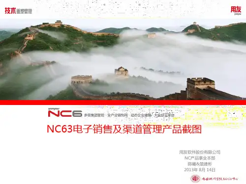 用友软件 NC63电子销售及渠道管理产品截图