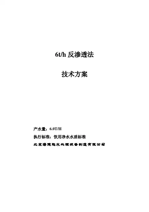 6反渗透技术方案