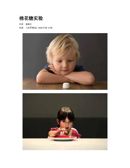棉花糖实验