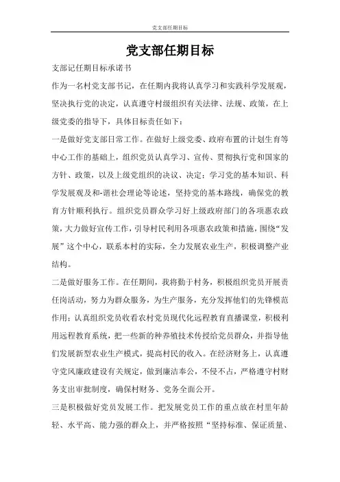 工作计划 党支部任期目标