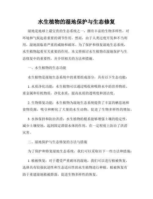 水生植物的湿地保护与生态修复