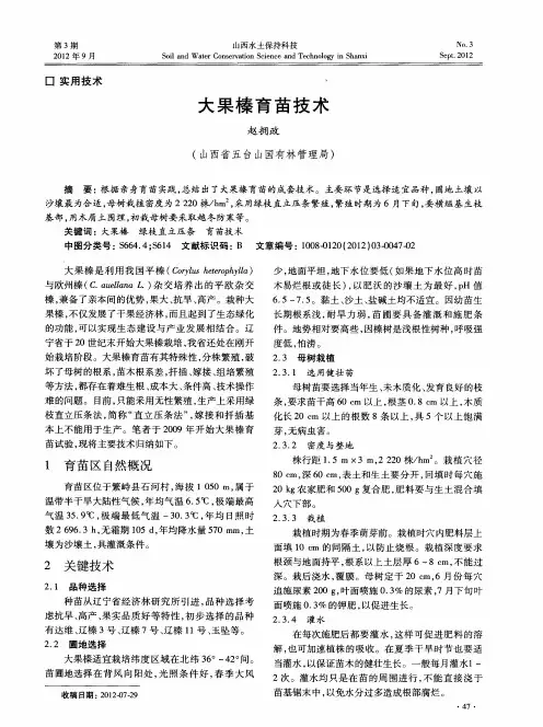 大果榛育苗技术