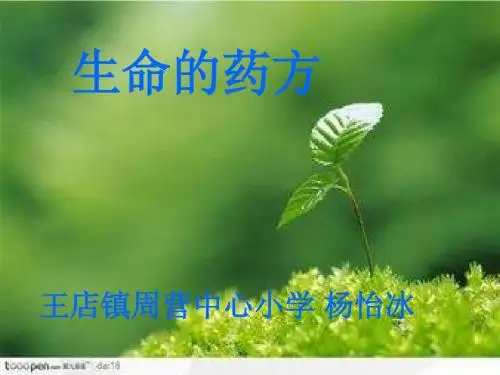生命的药方