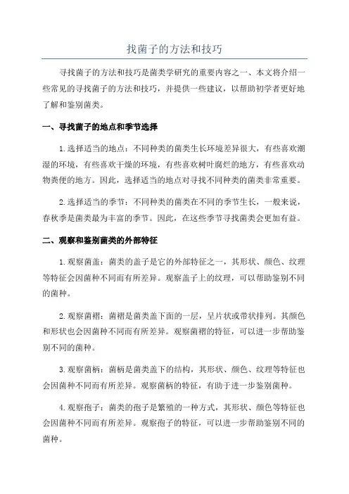 找菌子的方法和技巧