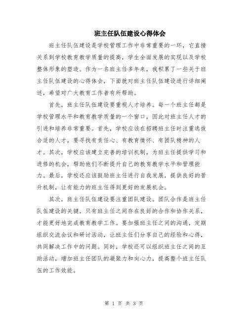 班主任队伍建设心得体会