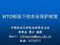 WTO框架下的农业保护政策