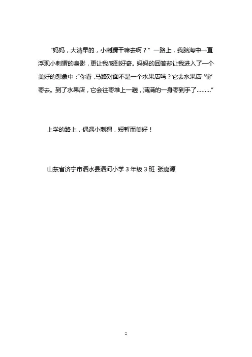 遇见小刺猬三年级写小动物作文400字