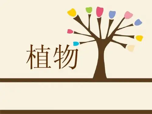 第3小组植物