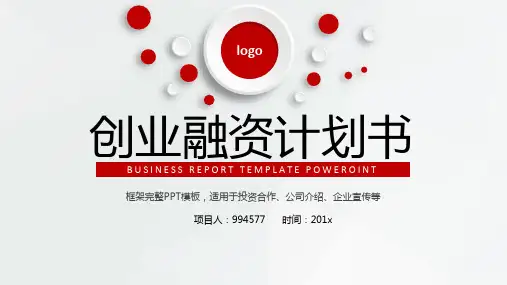 进口产品融资计划书ppt