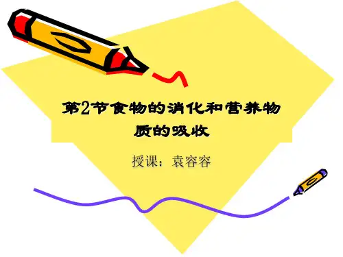 食物的消化和吸收PPT课件