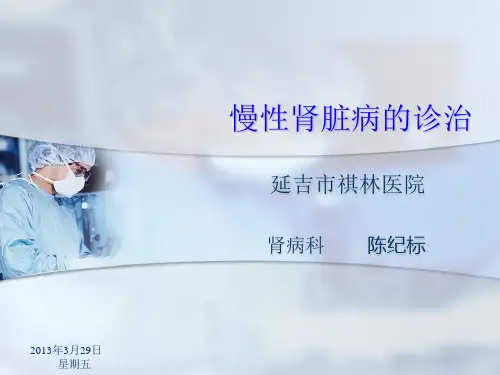 慢性肾脏病的诊治