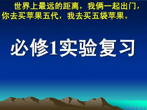 物理必修1实验复习
