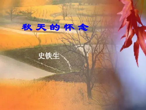 秋天 (14)