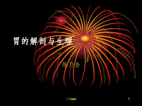 胃的解剖与生理