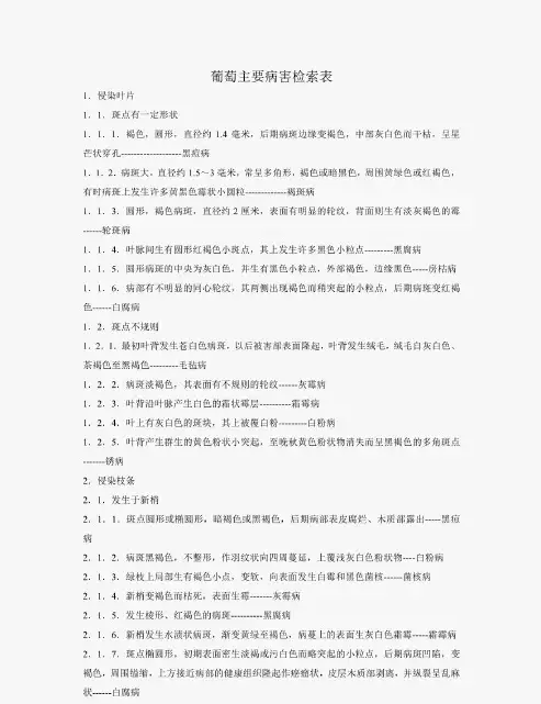 葡萄主要病害检索表