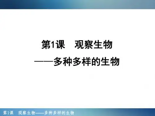 第1课  观察生物——多种多样的生物