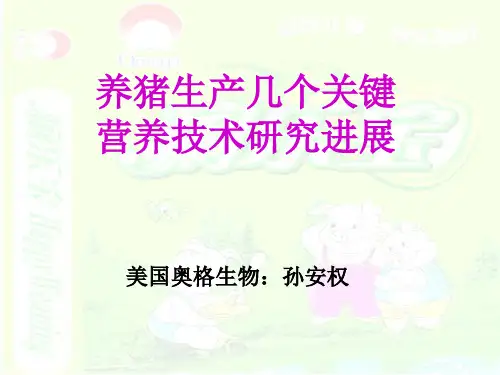 养猪生产几个关键