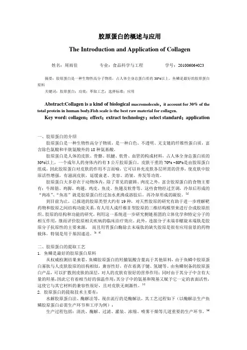 胶原蛋白的工艺