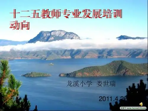 十二五教师专业发展培训动向