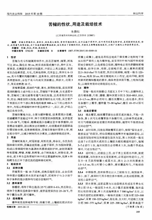 苦槠的性状、用途及栽培技术