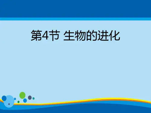 《生物的进化》PPT免费课件【精选推荐课件】