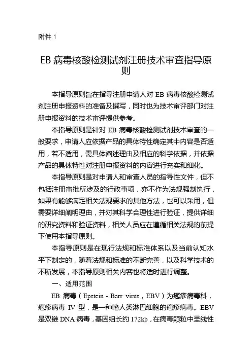 EB病毒核酸检测试剂注册技术审查指导原则