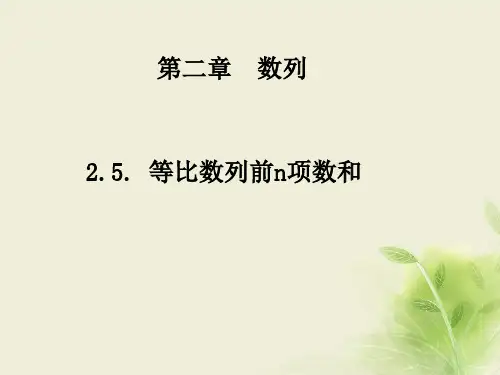 人教A版高中数学必修五2.5等比数列的前n项和课件(共21张PPT)