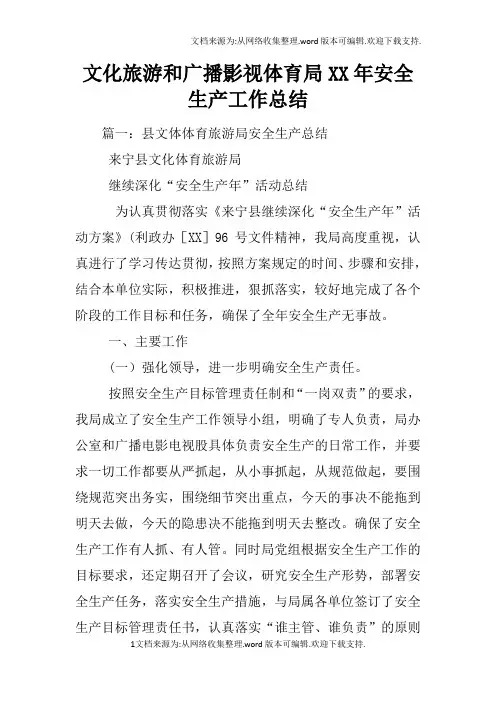 文化旅游和广播影视体育局XX年安全生产工作总结